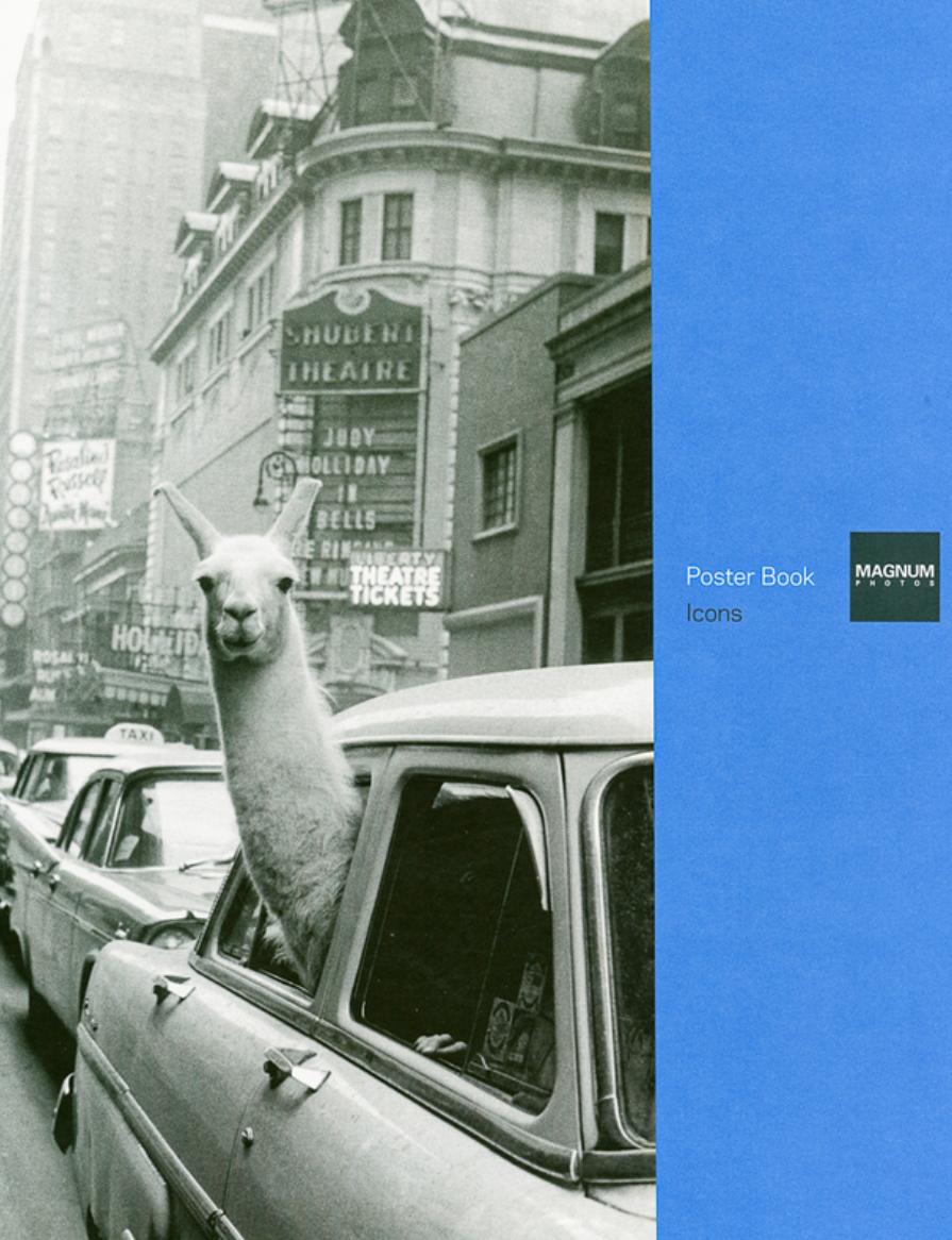 E0FE23C8-558C-47A9-AD42-78BE907CA1FB